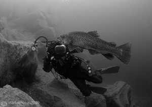 Dirk & brown trout.
D3 15mm. by Mark Thomas 